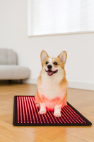 Red Light LED Therapy Mat - 25.4cm x 76.2 cm