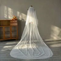 Simplicity in Elegance: 3-Meter Tulle Cathedral Blusher Veil